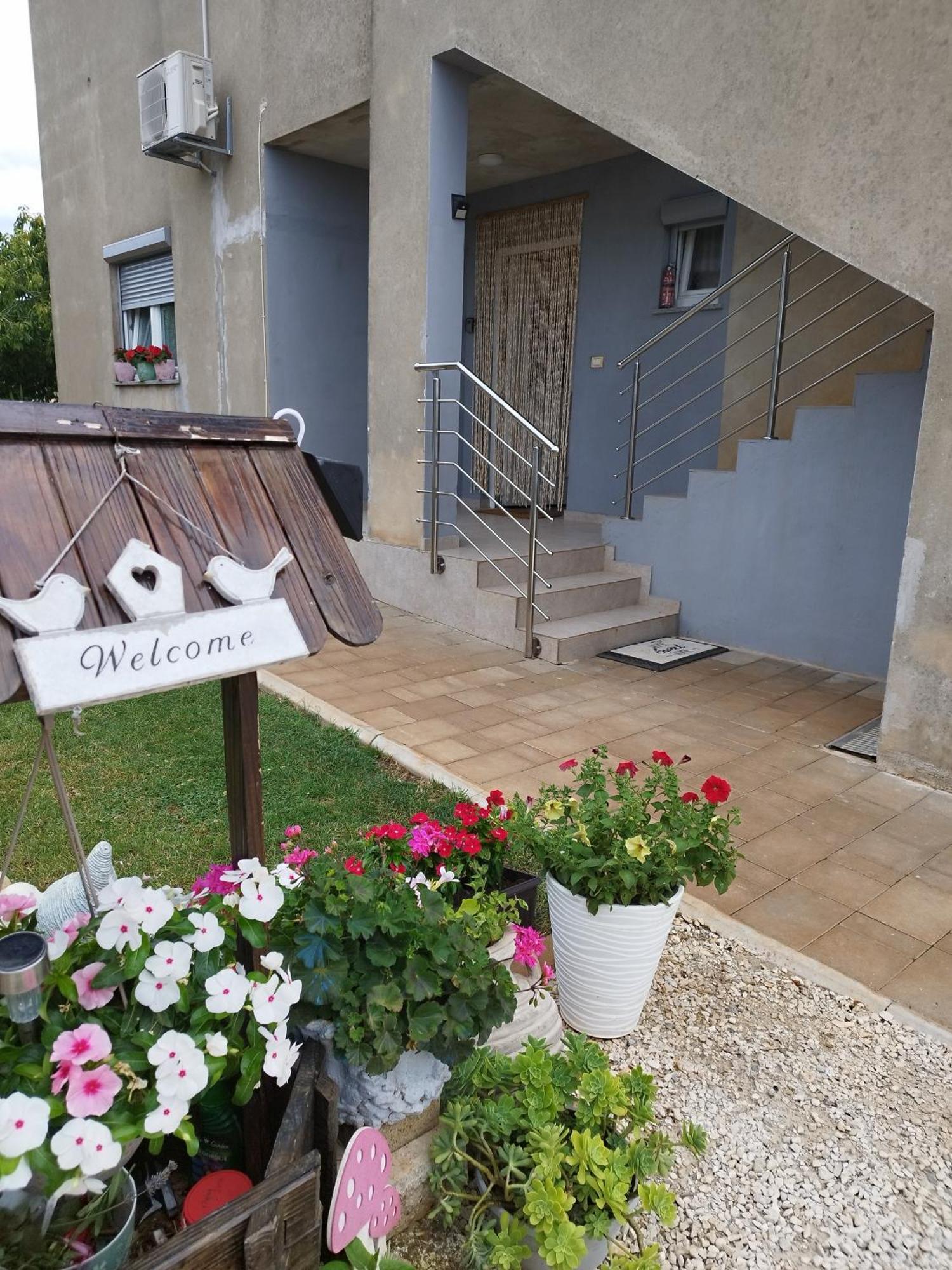 Apartmani Plavi Val Vodnjan Bagian luar foto